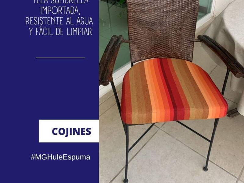 Cojines 004 México 