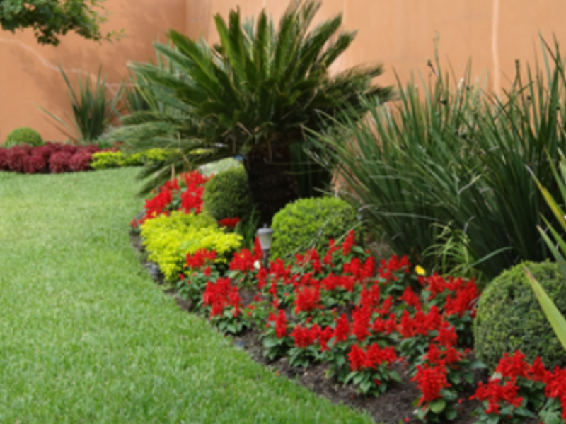 Diseño jardines residenciales Querétaro