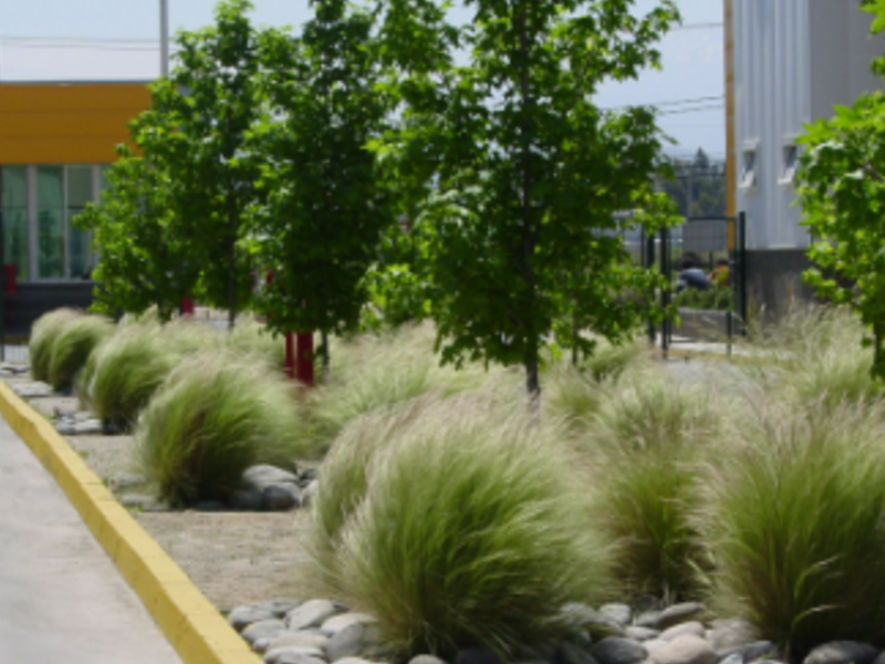 Diseño jardines industriales Querétaro