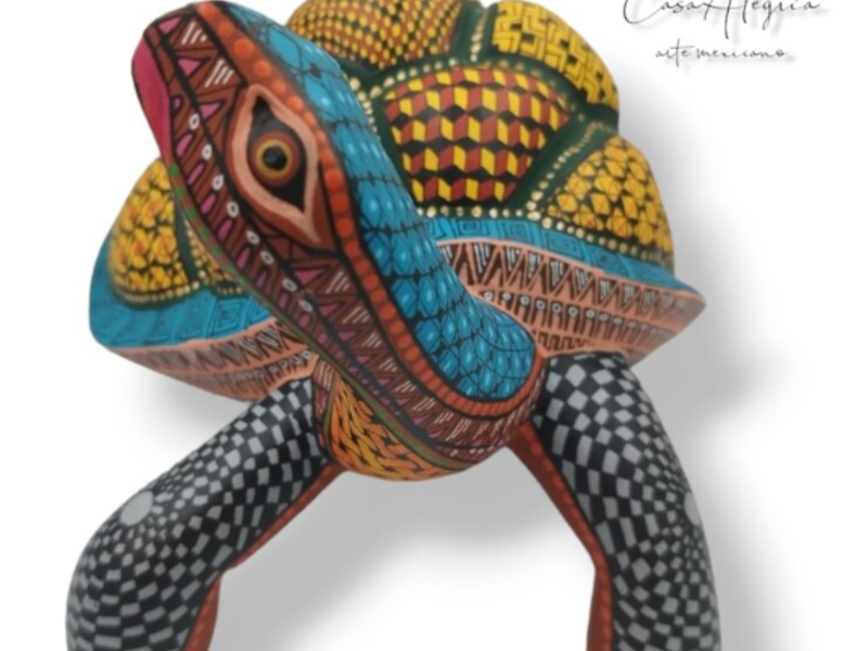 ALEBRIJE TORTUGA TERRESTRE Zacatecas