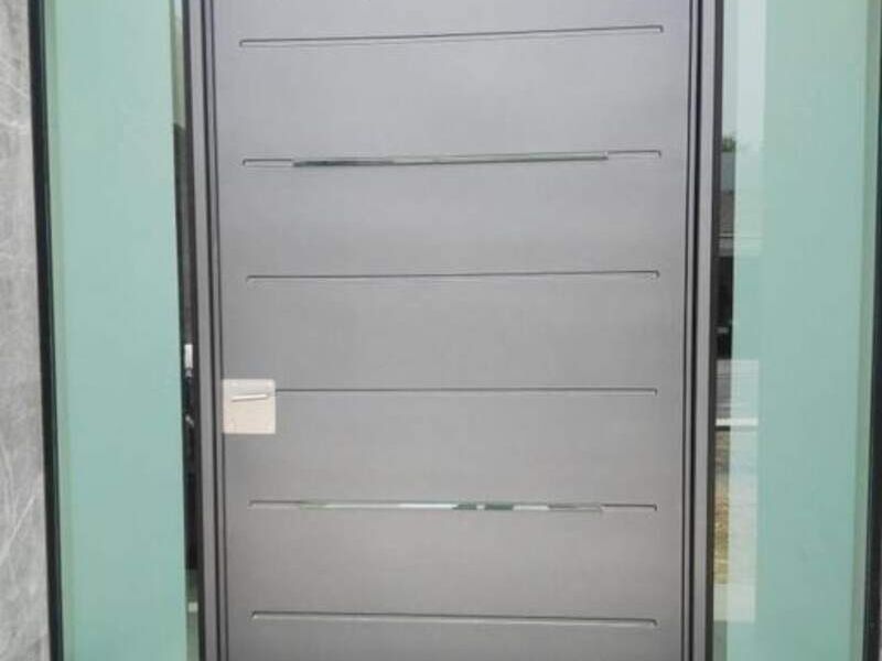 Puerta seguridad México