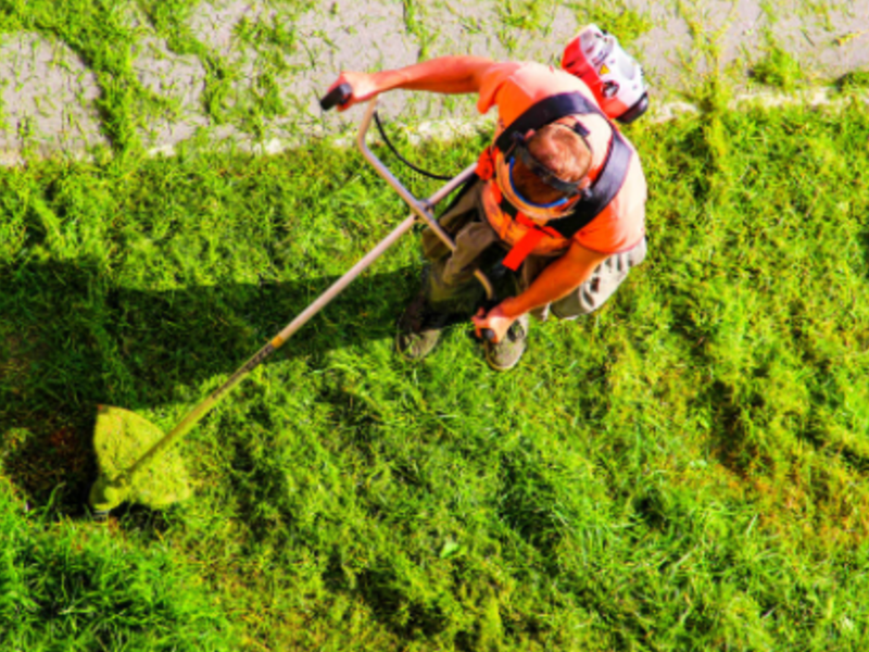 Mantenimiento Áreas Verdes Mexico