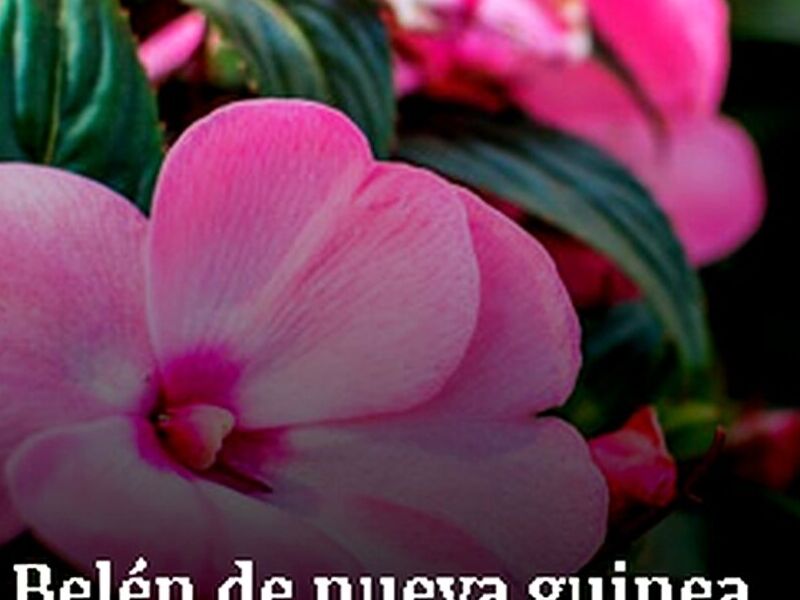 Belen Tepic
