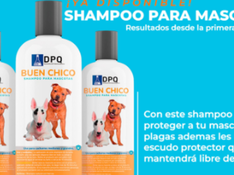 Shampoo Mascotas Chihuahua