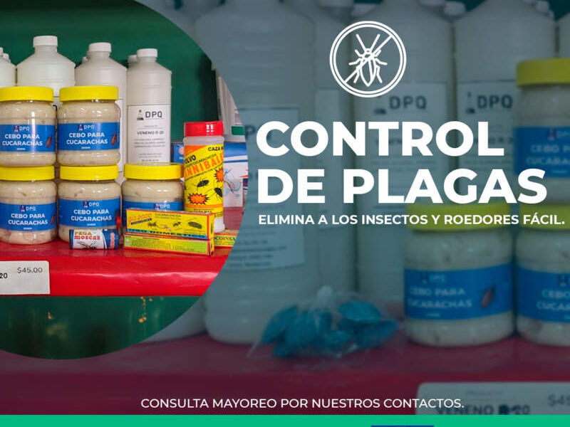 Control Plagas Chihuahua