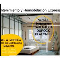 Panel W Morelia