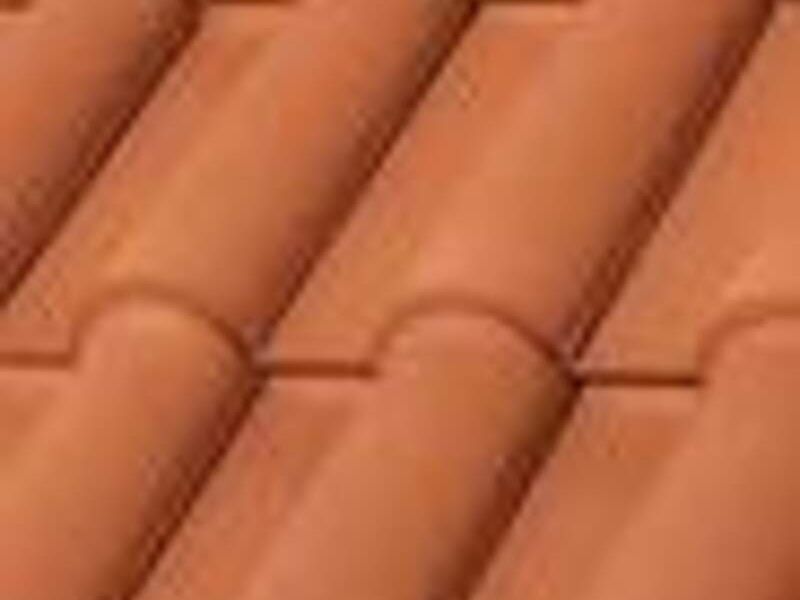 Teja Florentina Natural México