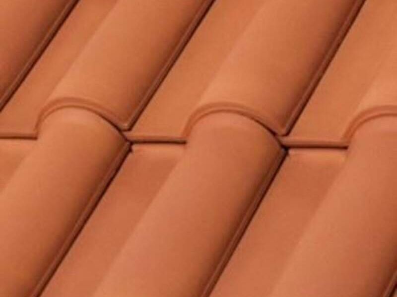 Teja florentina Santa Ana México