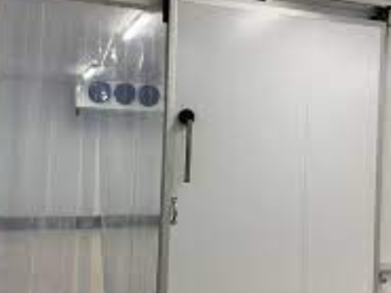 Cuarto Frío Bohn Pinal Amoles