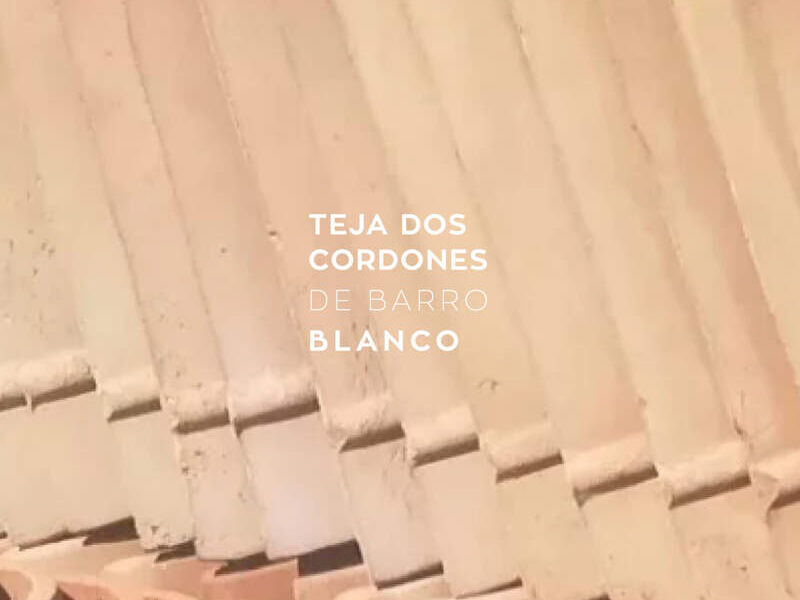 Teja dos cordones barro blanco México