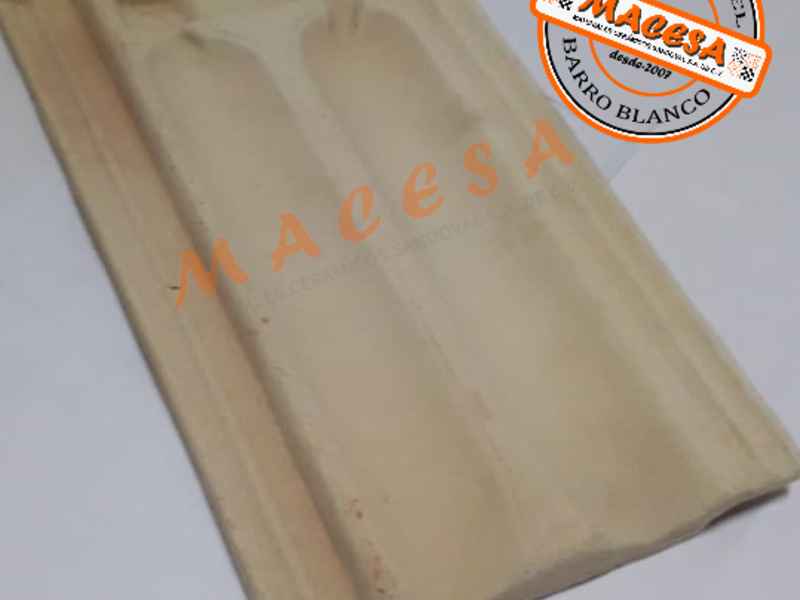 Teja marsellesa barro blanco México