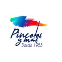 Pinceles y Más
