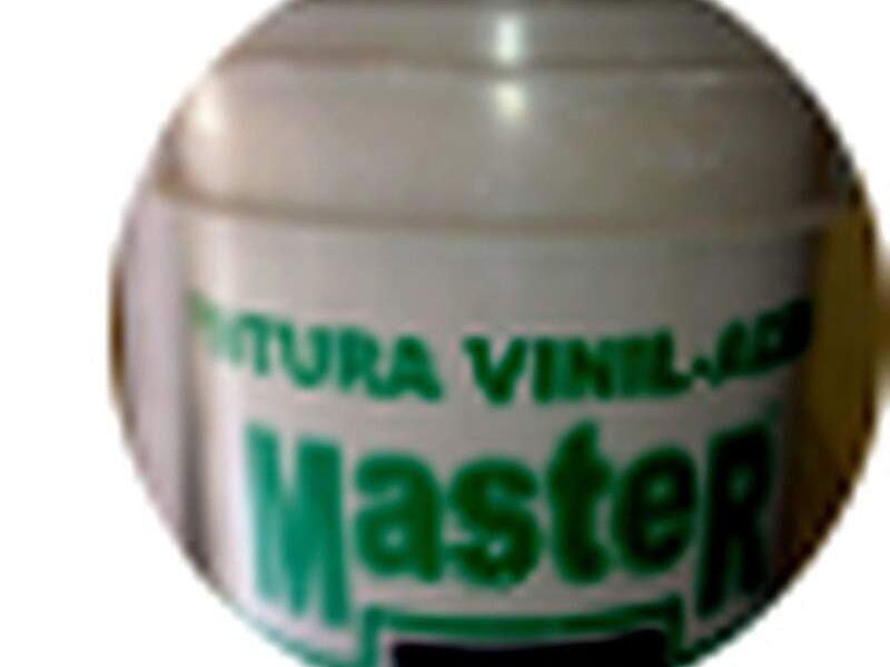 Pintura vinil acríl Master México