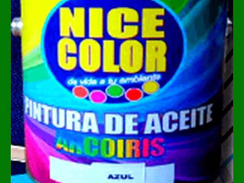 Pintura Nice México