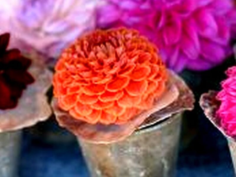 Dalia Quintana Roo