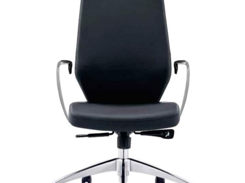 Sillón Ejecutivo Villahermosa