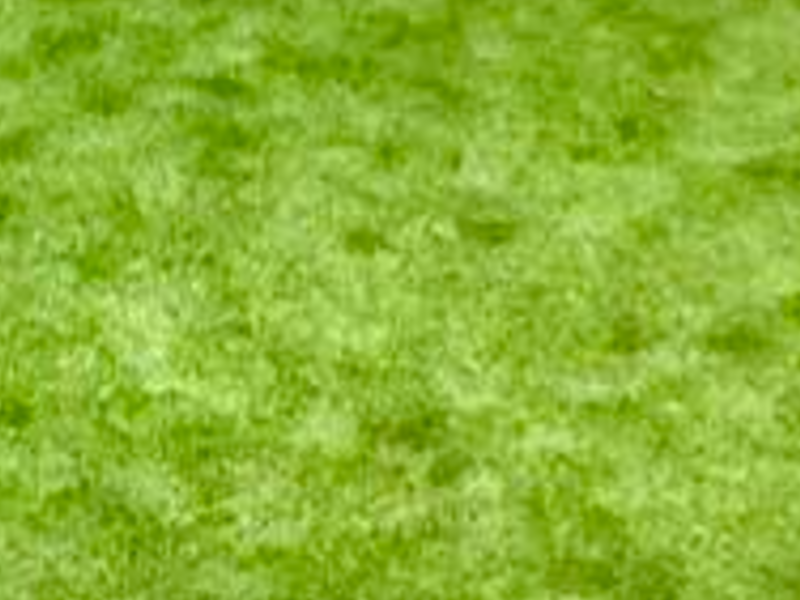 Pasto plus‎  35mm Mexico‎ ‎ ‎ ‎ 