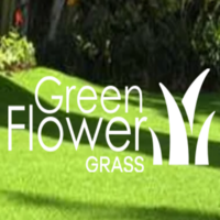 GF GRASS