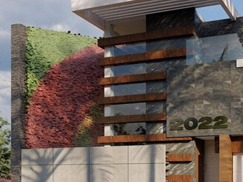 DISEÑO PARED VERDE CULIACAN