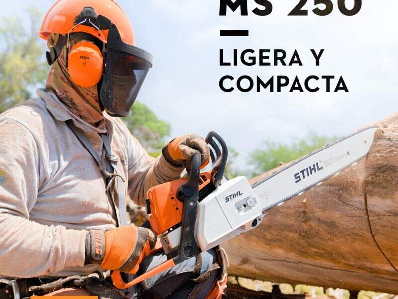 Motosierra M250 San Luis
