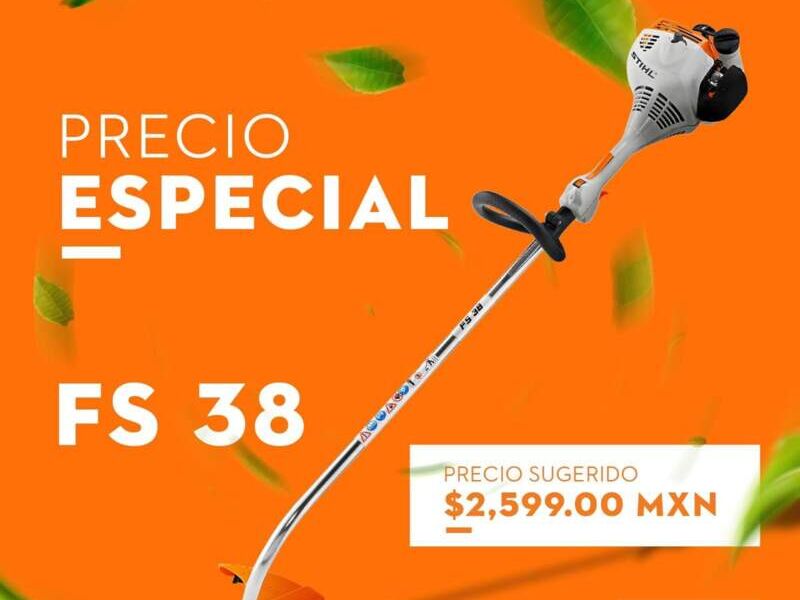 Desmalezadora FS38 San Luis