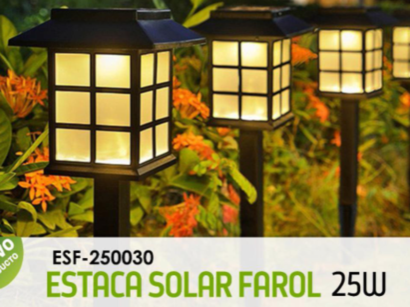 Faroles Mexicali