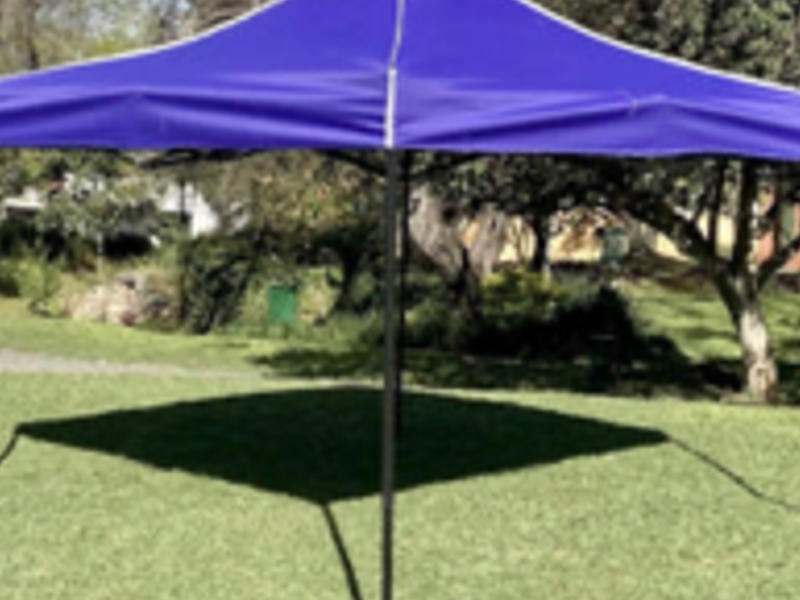 CARPA MORADA 3X3 MÉXICO