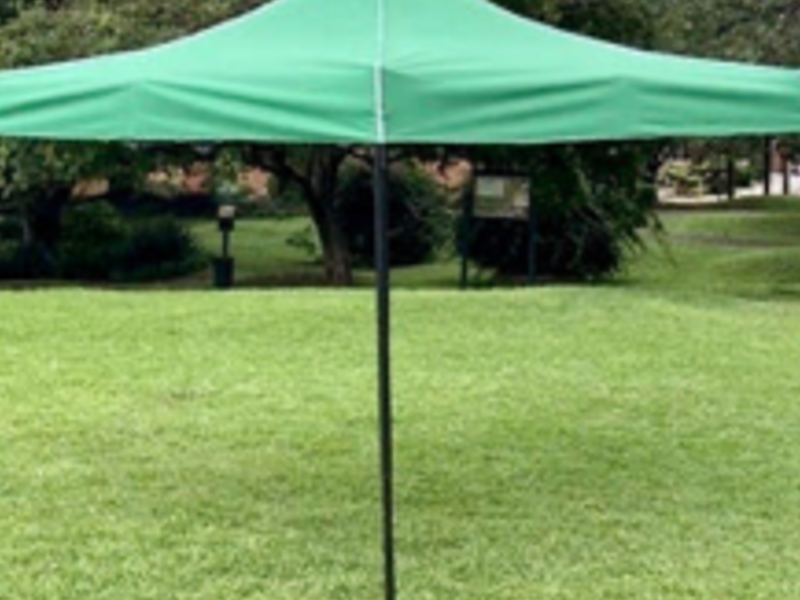 CARPA VERDE BANDERA MÉXICO