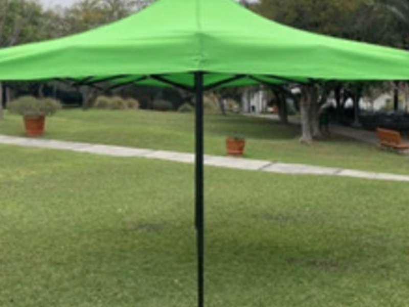 CARPA VERDE LIMÓN MÉXICO