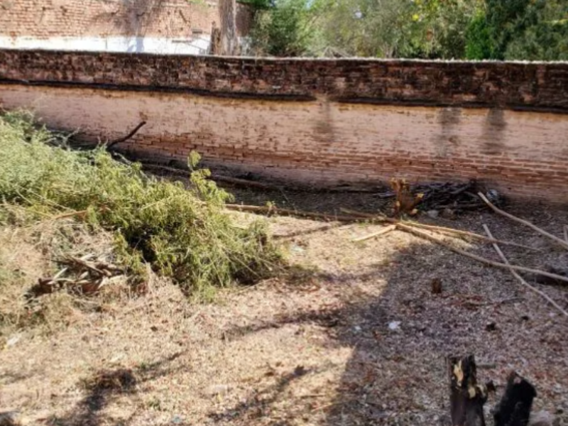 Venta terreno Zona Centro