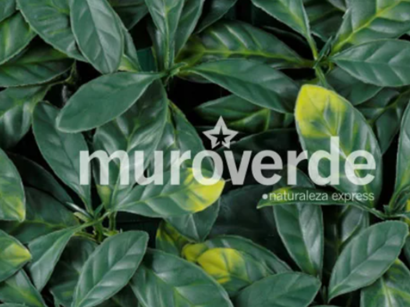 Muro Verde Artificial Follaje Laurel Europeo