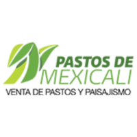 PASTOS DE MEXICALI