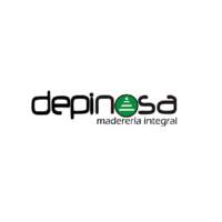 Depinosa Delicias