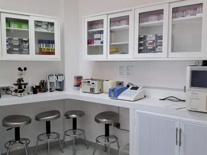 DISEÑO LABORATORIOS CULIACAN