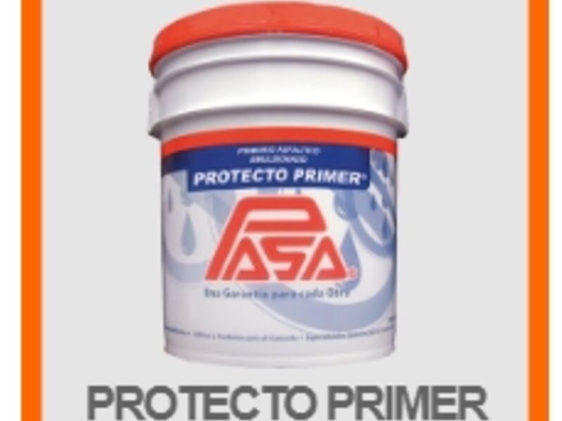 PROTECTO PRIMER QUERETARO