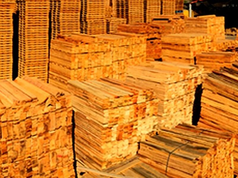 Tablas Pino Tratado Sinaloa
