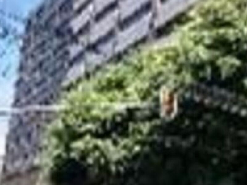 Renta oficina CDMX