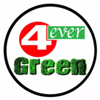 PASTO SINTETICO 4EVER GREEN S.A DE C.V.