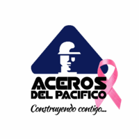 Aceros del Pacifico Sinaloa