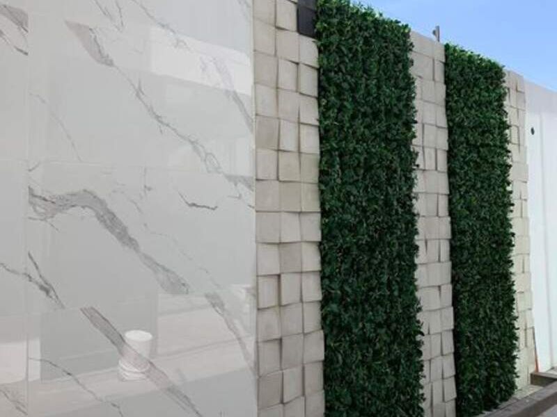 FOLLAJE PARA MURO VERTICAL MEXICO