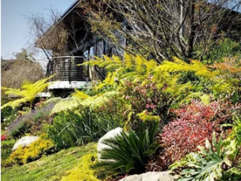 Jardinería Sustentable Mexico