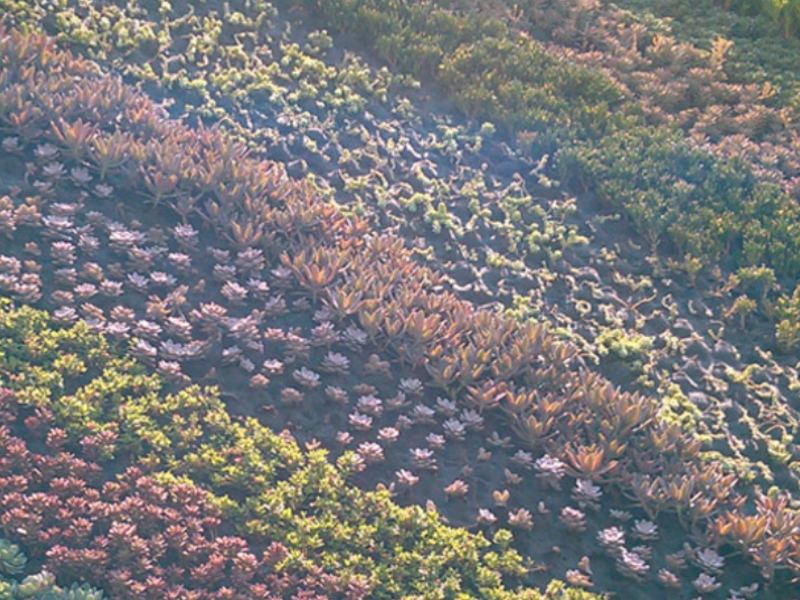 CONCANACO Mexico