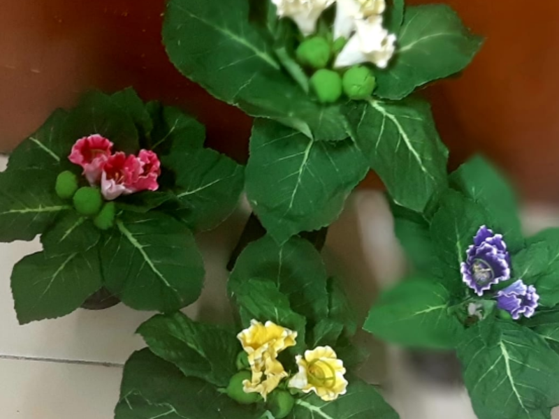 PLANTA GLOXILIA SEDA Mexico