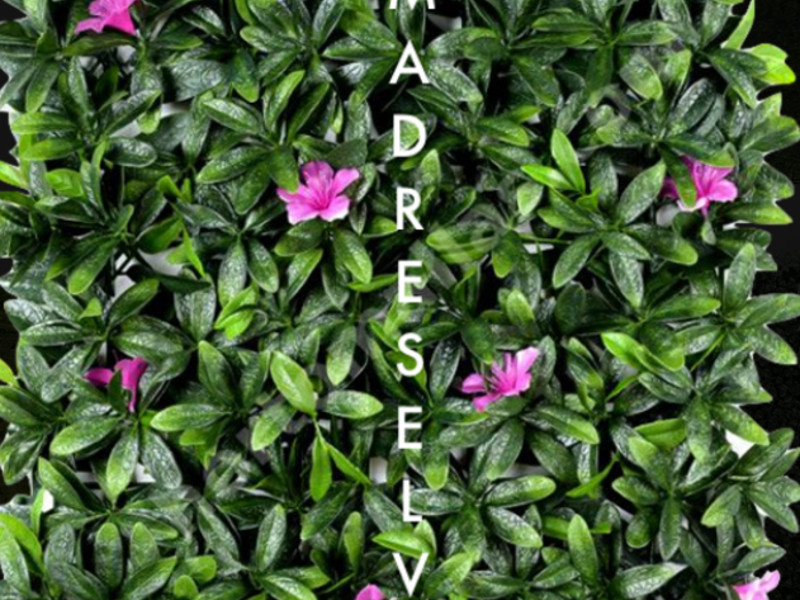 Azalea Mexico