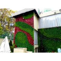 Plantas y Follaje Sintetico