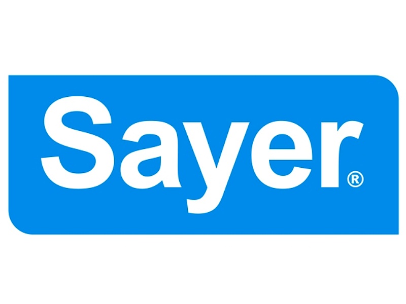 Sayer La mejor Pintura