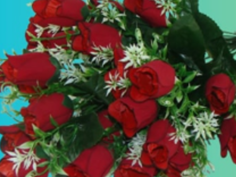 Ramo de flores Terciopelo Mazatlan 