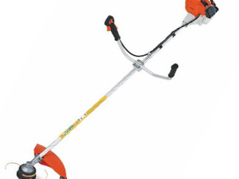 Desmalezadora FS85 Campeche