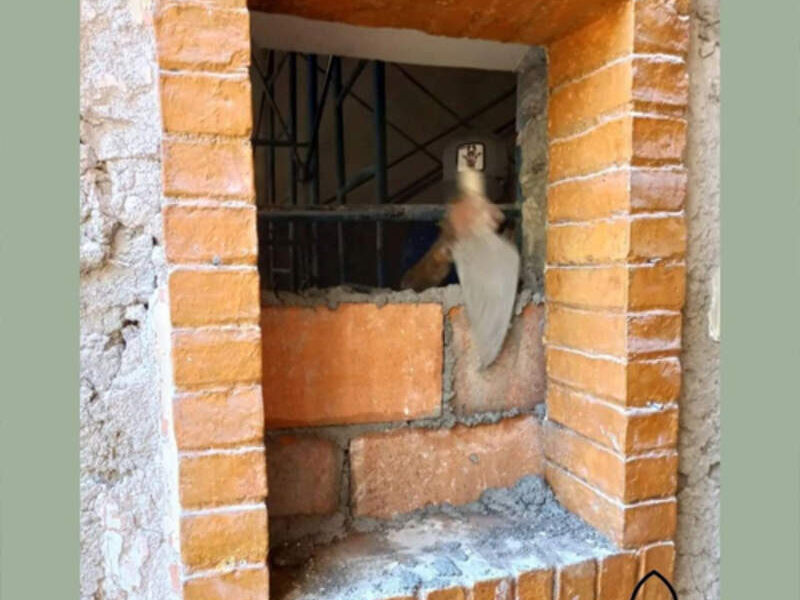 CONSTRUCCION LADRILLO SALTILLO