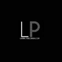 Lamina punzonada